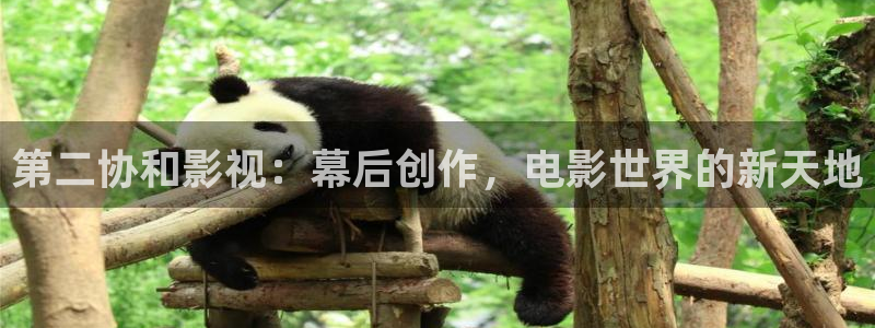 6080午夜影院青苹果影院