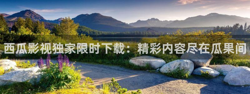 青苹果影院手机在线观看