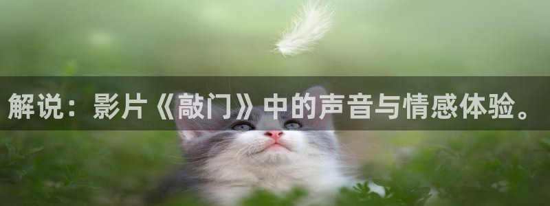 6090yy青苹果影院麻豆