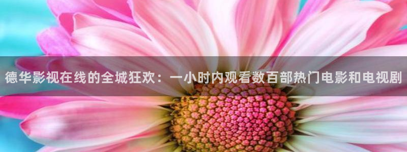 青苹果乐园影院热门电视剧