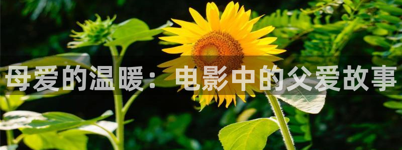 青苹果影院余罪