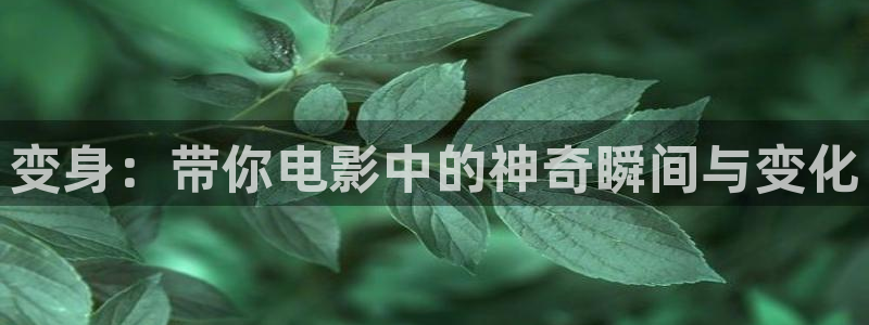 青苹果电影免费无删减