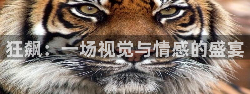 青苹果新视觉影视