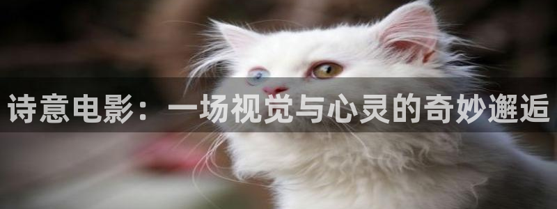 yy4480青苹果